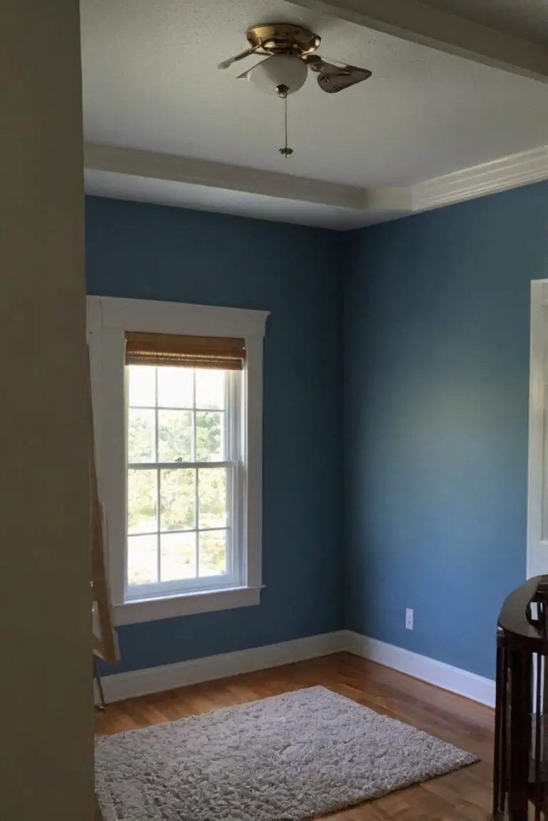 Foggy Day Blues? Sherwin Williams 6235 Revealed! (Review & Alternatives)