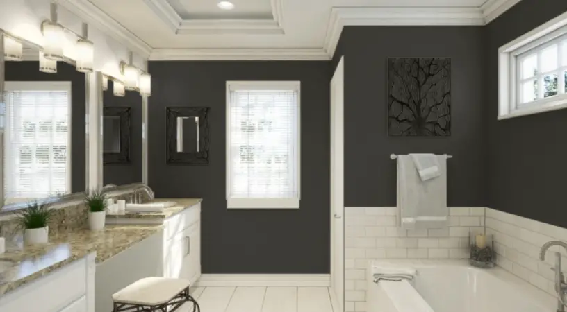 Sherwin Williams Iron Ore
A dark, inky gray that exudes modern elegance and creates a bold, moody atmosphere ideal for a contemporary bathroom.